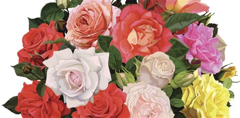 Tributes and Condolences