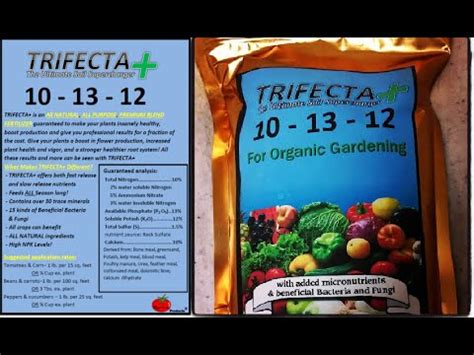 Trifecta Plus Fertilizer: The 3-in-1 Solution for Thriving Plants