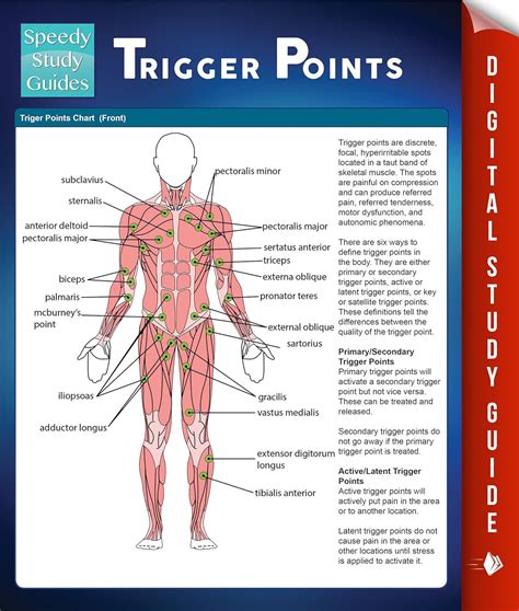 Trigger Points Speedy Study Guides Kindle Editon