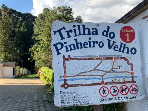 Trilha do Pinheiro Velho: Um Percurso Imersivo pela Natureza e História