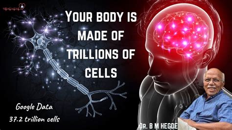 Trillions of Cells: