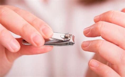 Trim nails regularly: