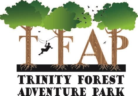 Trinity Forest Adventure Park: 10 Thrilling Activities for an Unforgettable Experience