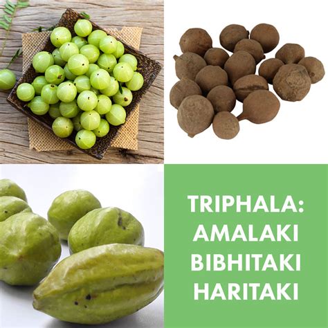 Triphala: The Powerhouse of Three Ayurvedic Herbs