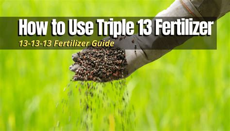 Triple 13 Fertilizer: The Ultimate Guide to Powering Your Plants