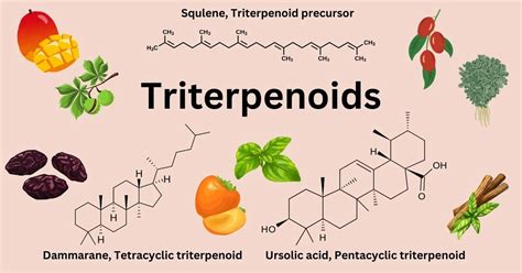 Triterpenoids: