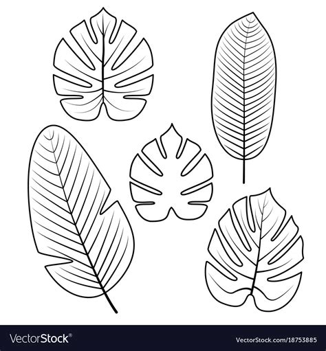 Tropical Leaves Template