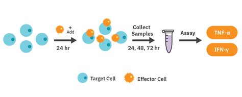 Troubleshooting Axion Bio Cell Count Not Showing Image: A Comprehensive Guide