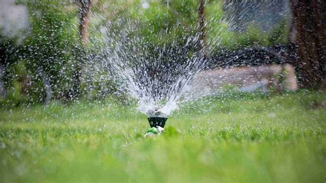 Troubleshooting and Repairing Sprinkler Systems in Scottsdale: A Comprehensive Guide for Homeowners