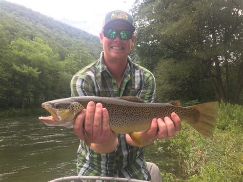 Trout Fishing in the Catskills Reader