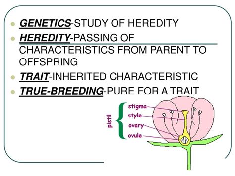 True Breeding Genetics: Unraveling the Secrets of Inherited Traits