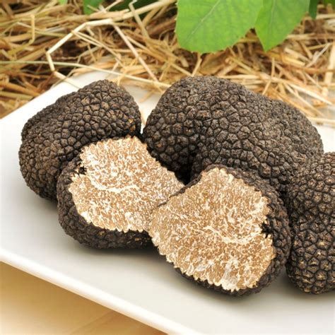 Truffle Extract: