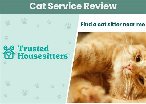 Trusted House Sitters: An Overview