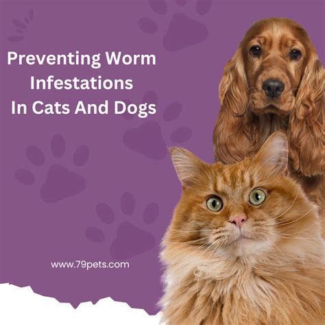 Truth 1: Cats Are Prone to Worm Infestations.