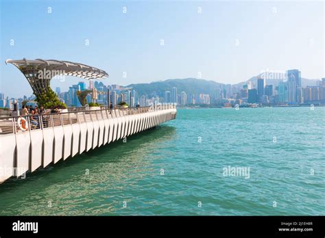 Tsim Sha Tsui's Culinary Landscape