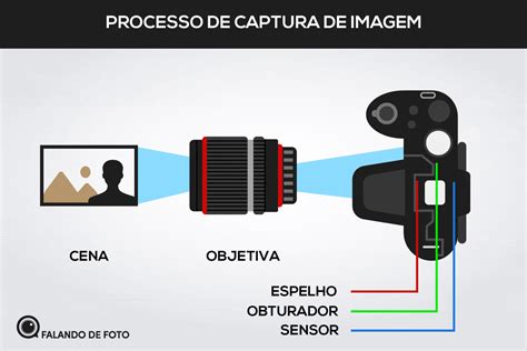 Tubo de Canon Pia: Um Guia Essencial para Fotógrafos