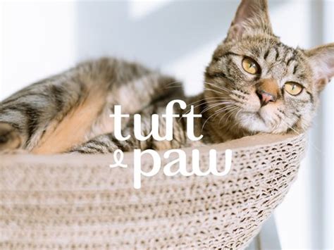 Tuft and Paw Branding and Design: The Ultimate Showdown