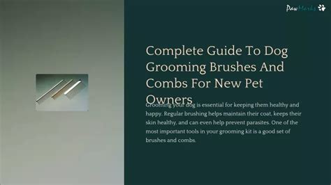 Tuft and Paw Brushes and Combs 2025: The Ultimate Guide to Grooming Your Pet