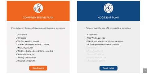 Tuft and Paw Travel Insurance: 2025's Most Paw-some Protection VS. Competitors