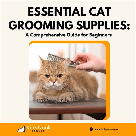 Tuft in Cat Grooming: A Comprehensive Guide to 2025 and Beyond