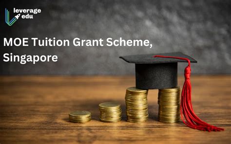 Tuition Grant Singapore: A Comprehensive Guide to Securing Financial Assistance for Your Education