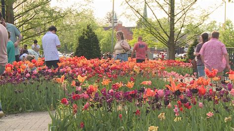 Tulip Time Returns to Holland, Michigan for 98 Years of Fun