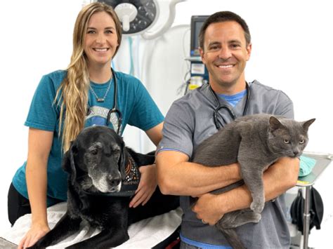 Tulsa Animal Urgent Care: The One-Stop Solution for After-Hours Pet Emergencies