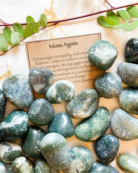 Tumbled Moss Agate: A Stone of Tranquility, Growth, and Abundance