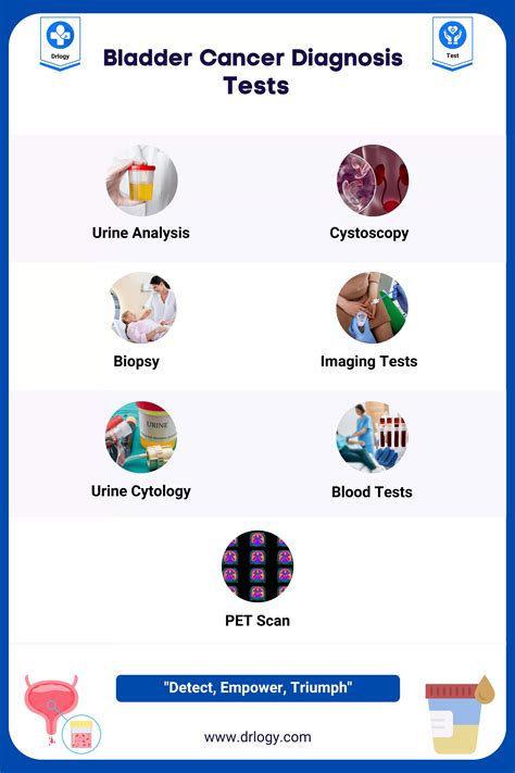 Tumor in Bladder Prognosis: A Detailed Analysis