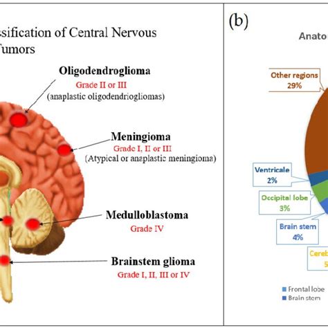 Tumors of the Central Nervous System Doc