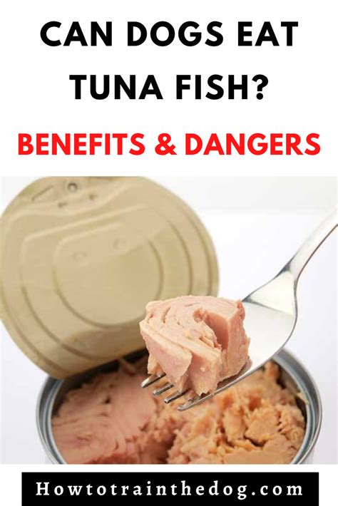 Tuna Fish Dog Food: The Pros, Cons, and 8 Healthful Benefits