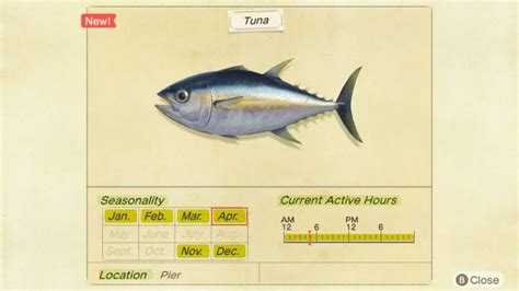 Tuna Time in Animal Crossing: A Comprehensive Guide to Catching, Cooking, and Displaying Tuna