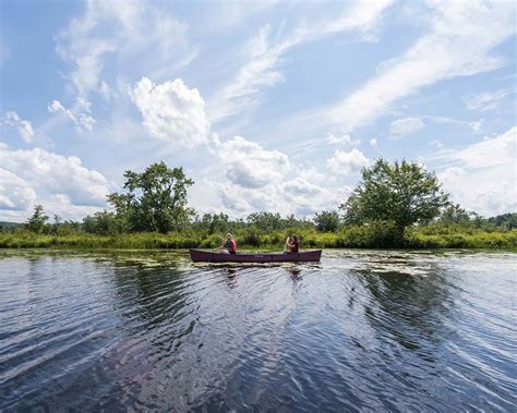 Tupper Lake: Adventure, Wildlife, & The Wild Center