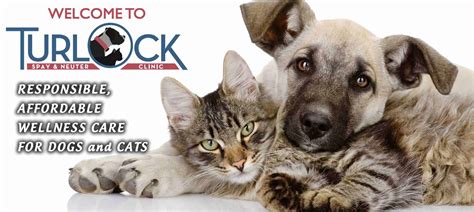 Turlock Spay & Neuter Clinic Turlock CA: Your Guide to Low-Cost Pet Care