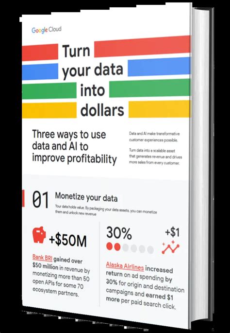 Turn Ebay Data into Dollars Tools and Techniques to Make More Money on Every Transaction Kindle Editon