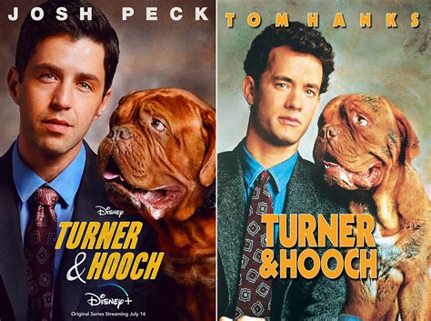 Turner and Hooch: The Ideal Dog Breed for Crime-Fighting and Companionship