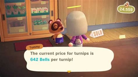 Turnip Prices ACNH: 9,999 Tips to Maximize Your Profits