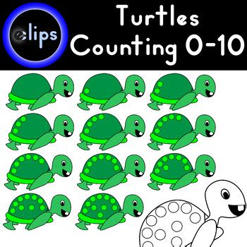 Turtle Count: