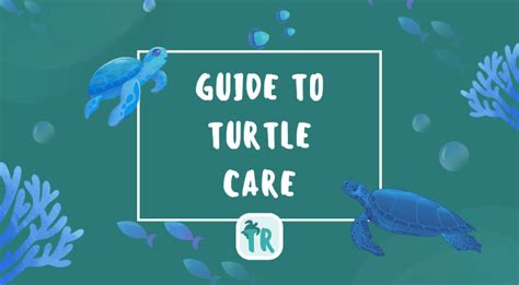 TurtleGirlFit: A Comprehensive Guide to Health and Fitness