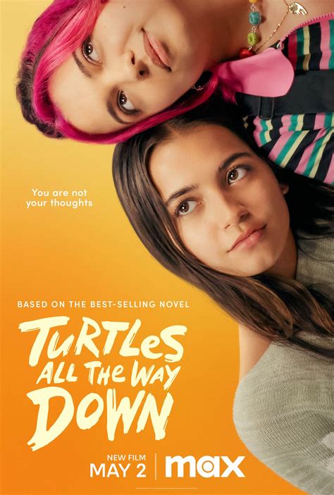 Turtles All the Way Down: An Overview of the Film