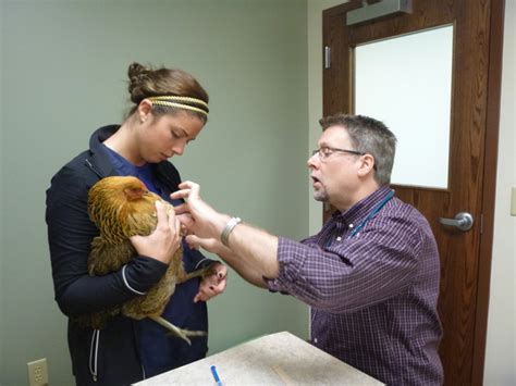 Twin Cities Veterinary Clinic: The Ultimate Guide to Animal Care in the Metro Area