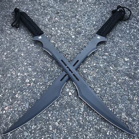 Twin Swords: