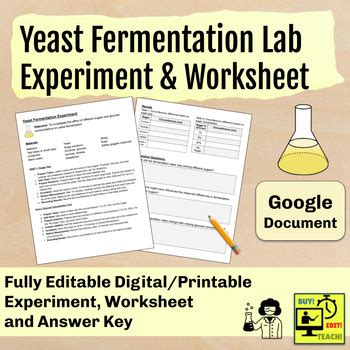 Twist On Fermentation Lab Answers Key Reader