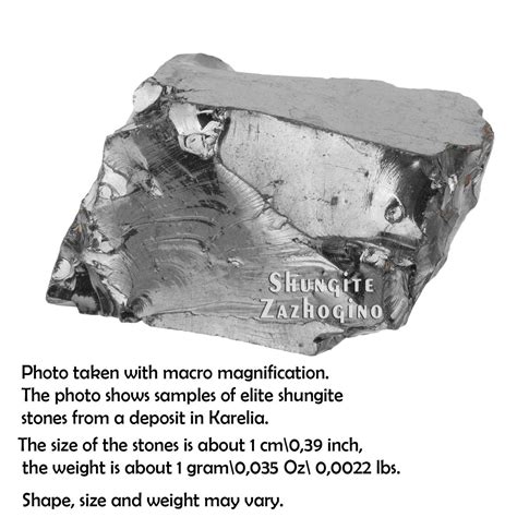 Type I Shungite: