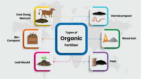 Type of Organic Fertilizer