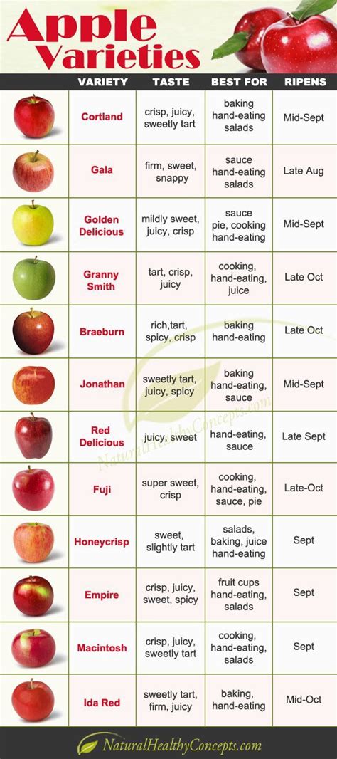 Types Of Apple Chart