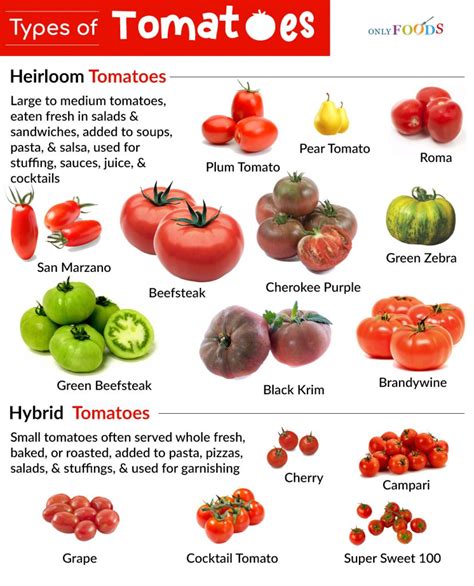 Types Of Tomatoes Chart