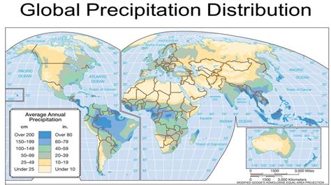 Types and Distribution of Precipitation