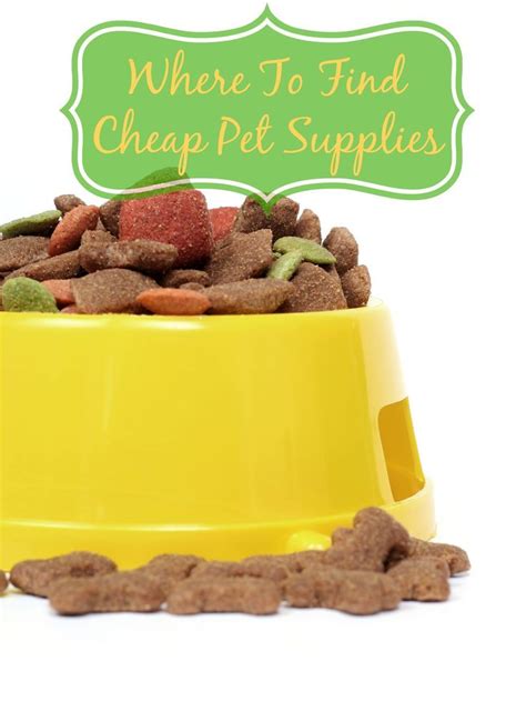 Types of Affordable Pet Supplies