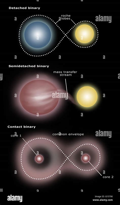 Types of Binary Stars